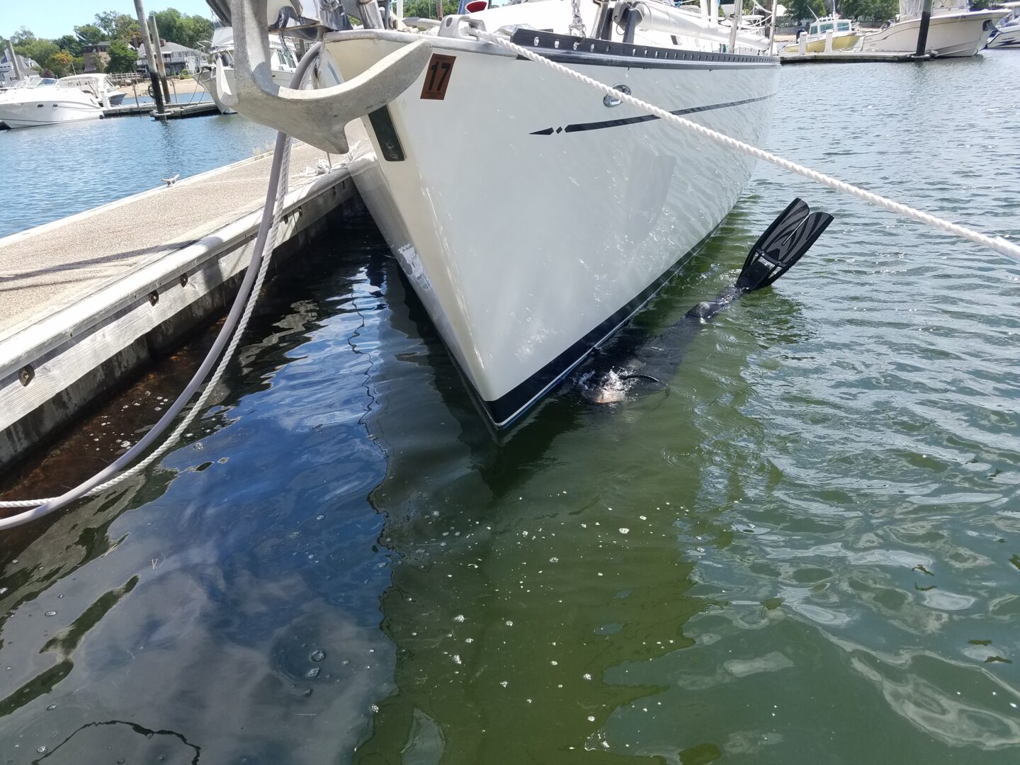 diving